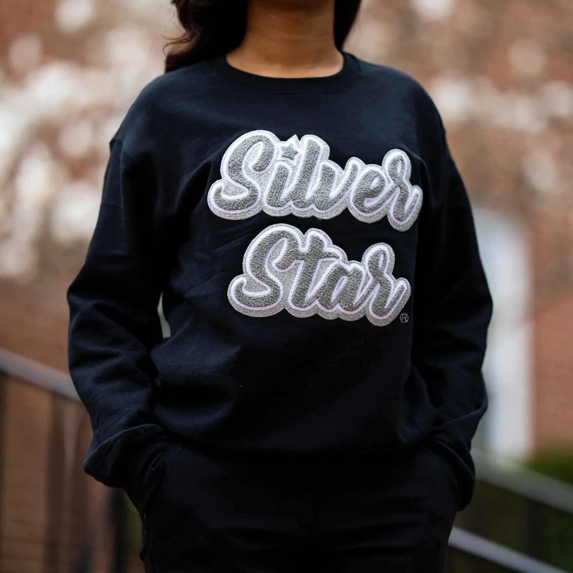 AKA Silver Star Sweatshirt (Unisex Sizing)