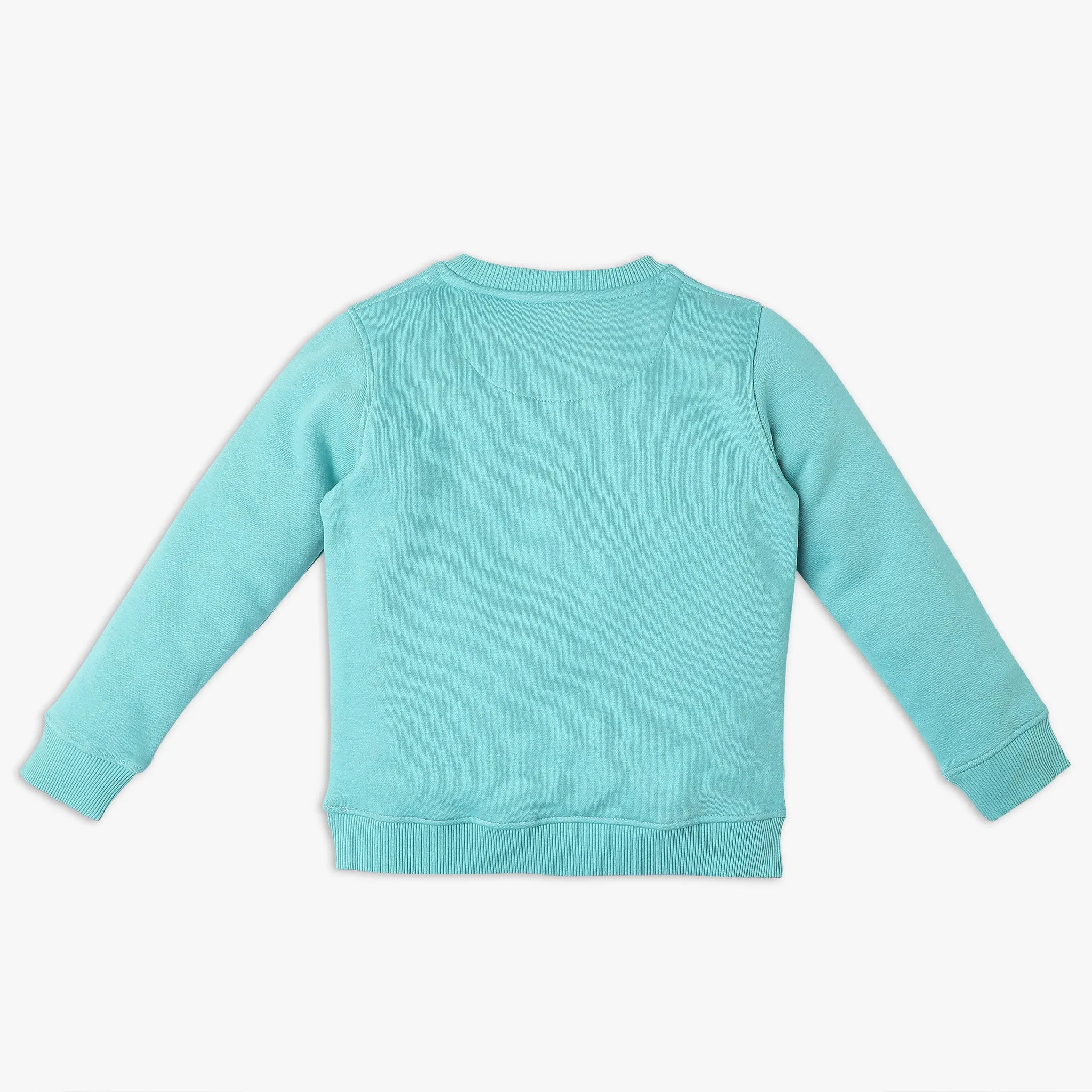 Boys Regular Fit Printed Sweatshirt