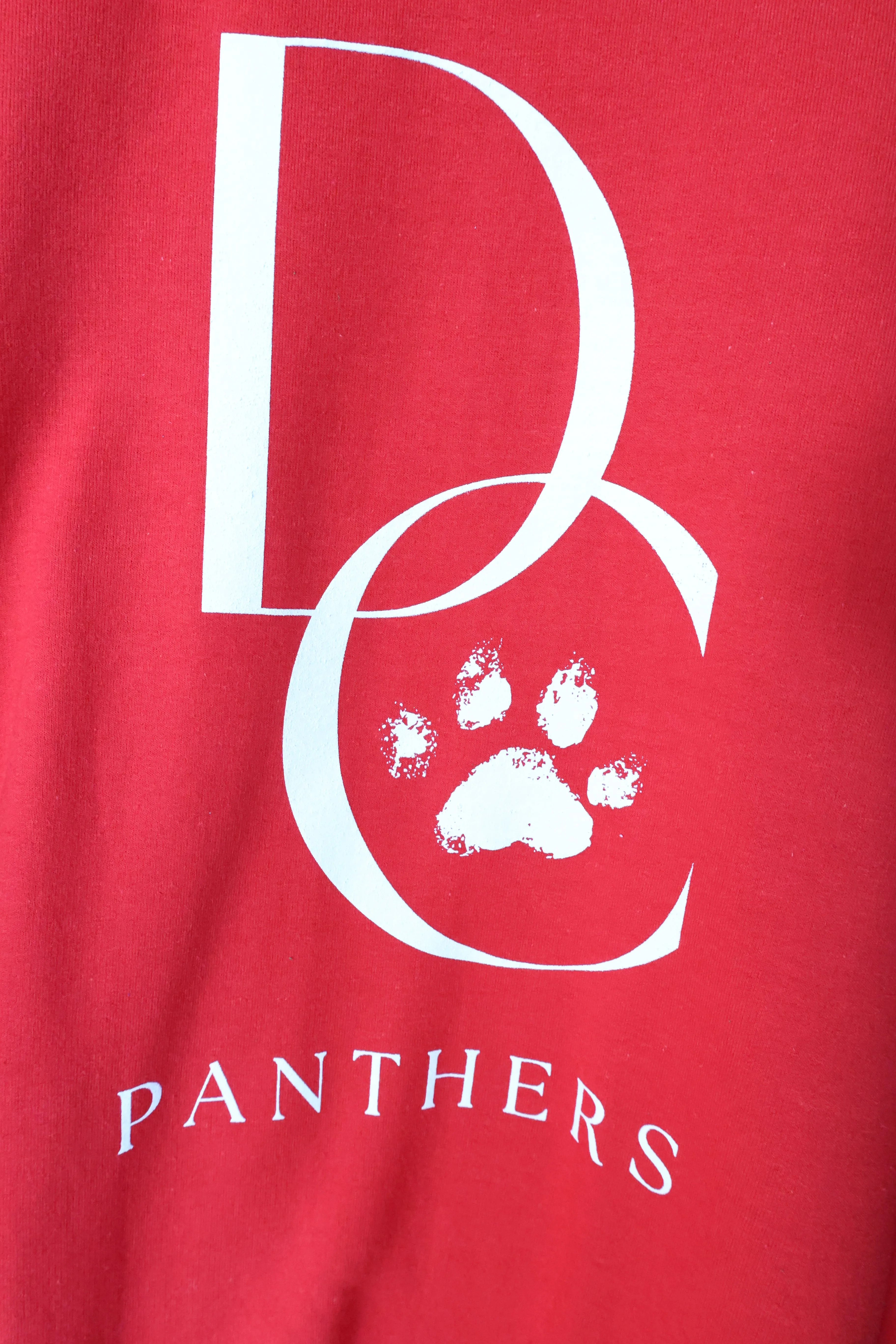 DC Panthers Sweatshirt