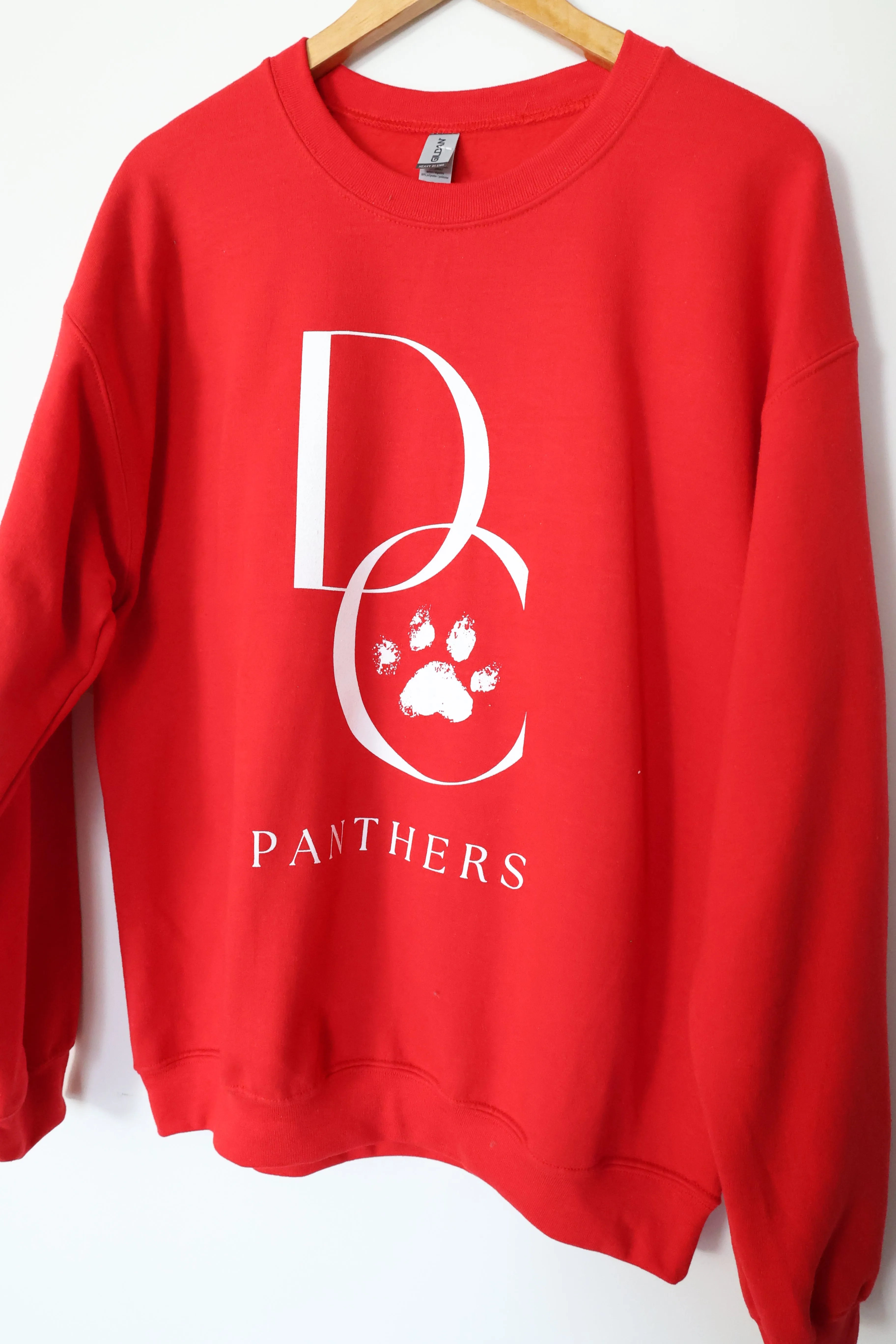 DC Panthers Sweatshirt