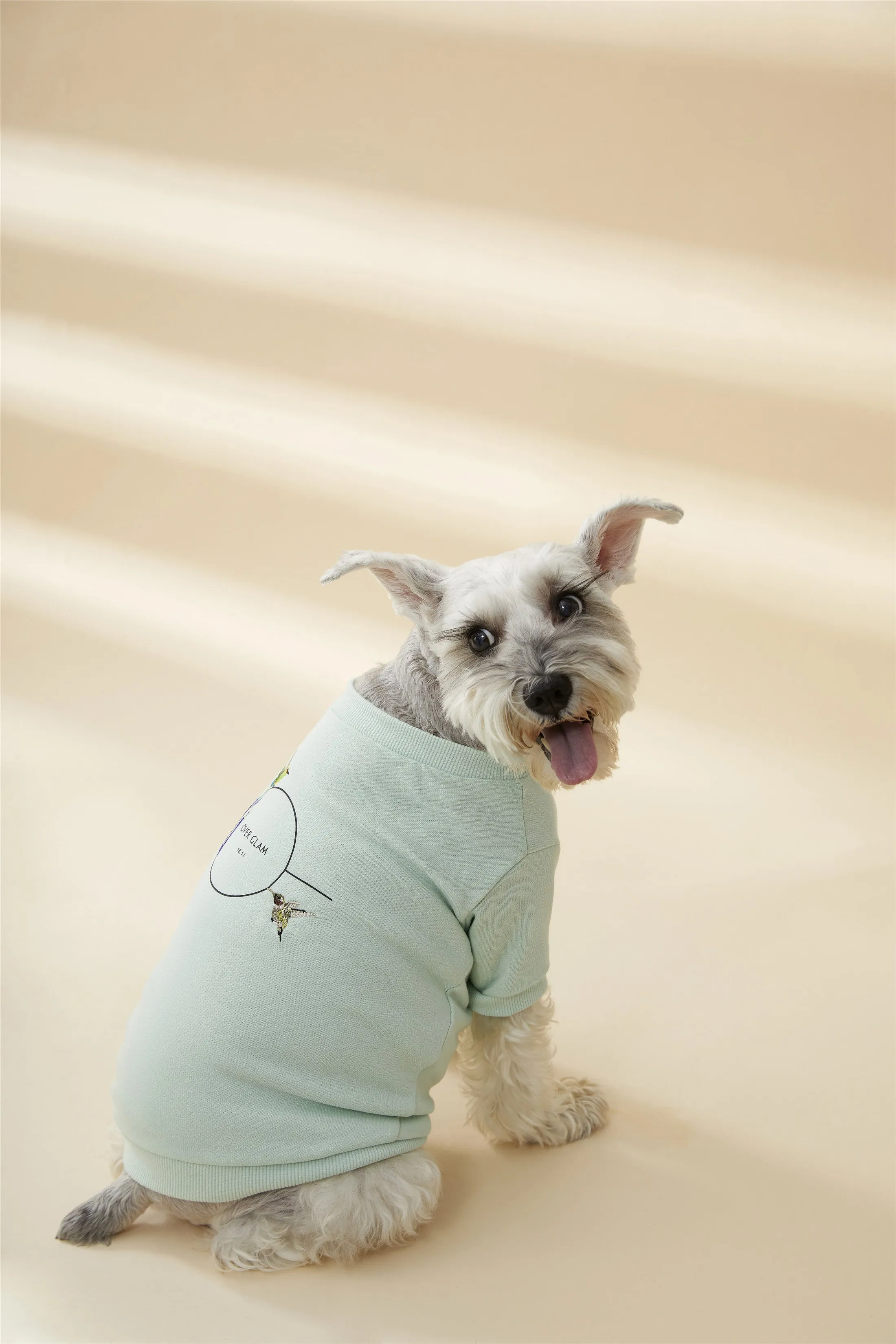 Sweatshirt with Birds Embroidery