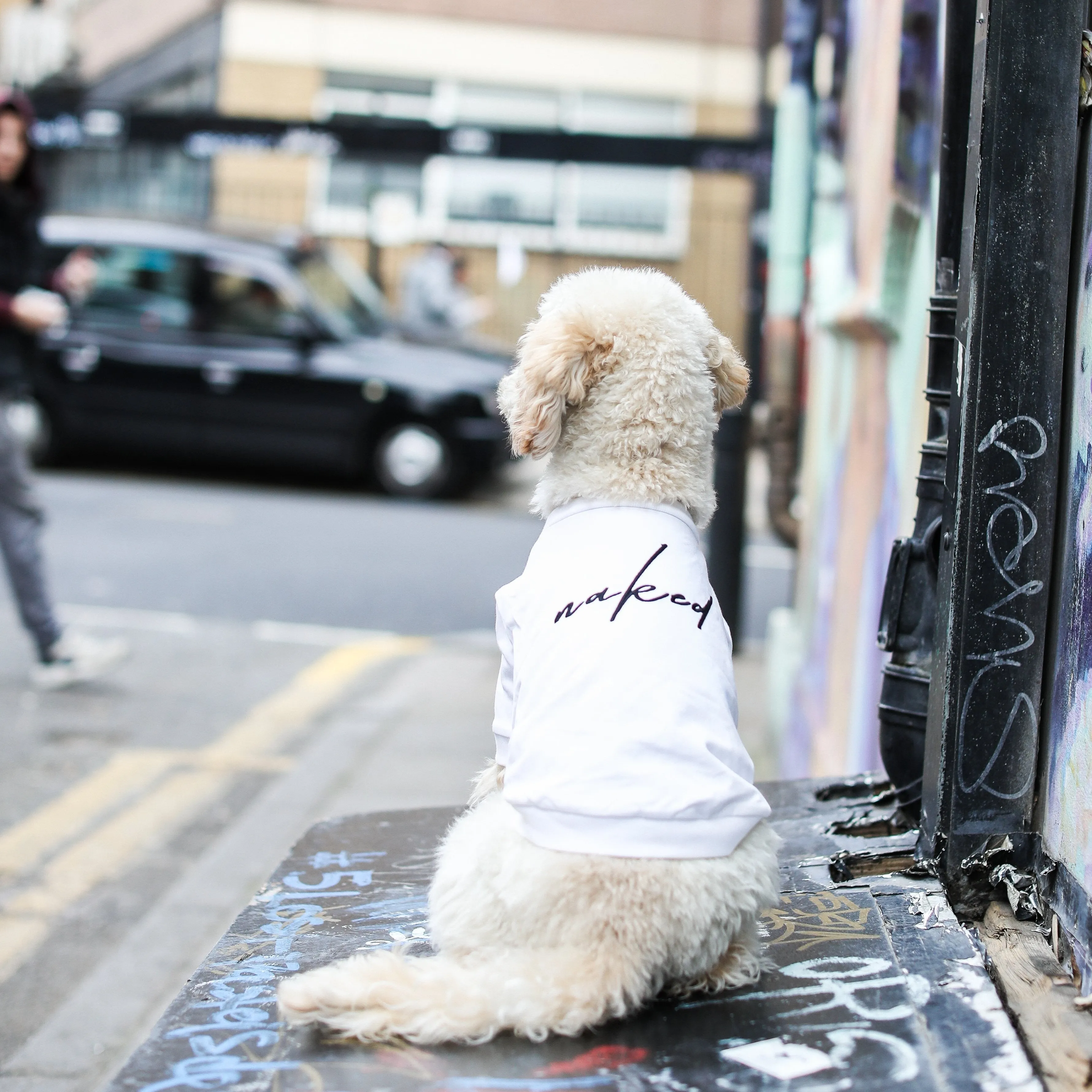 Sweatshirt with Embroidered Text